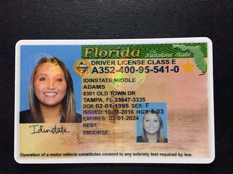 Florida Fake Id Fak Id Florida Florida Drivers License