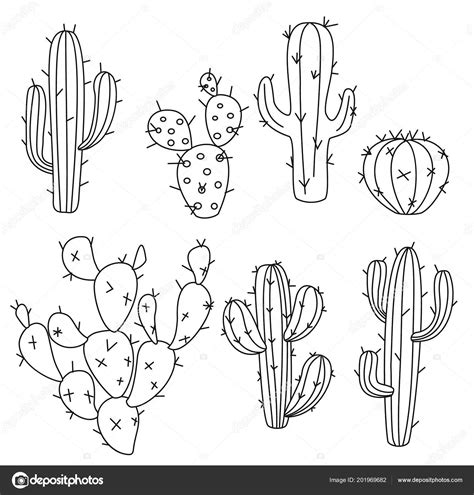 Cactus Vector Illustrations Hand Drawn Outline Cactus Set — Stock