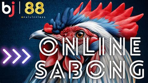 Master The Art Of Sabong Rooster Selection And Breeding At Bj88