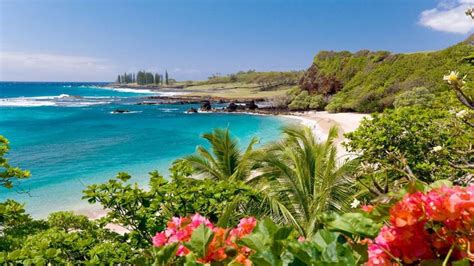 Hamoa Beach Maui Hawaii Wallpaper Widescreen Hd