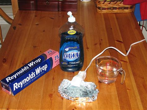 There has been a lot of internet buzz about the latest diy bed bug trap. home made flea trap : Biological Science Picture Directory - Pulpbits.net