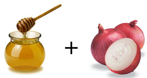 Onion Juice And Honey For Hair Loss Diy Hair Growth Treatment Hair