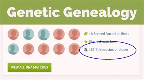 Dna Matches What You Can Do With All Your Genetic 4th Cousins