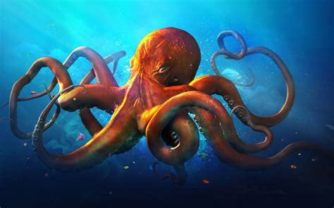 Octopus Wallpapers 73 Background Pictures