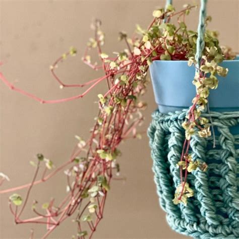 11 Free Easy Diy Crochet Plant Hanger Patterns