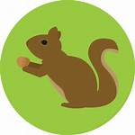 Squirrel Icon Svg Wildlife Nature Animal Icons