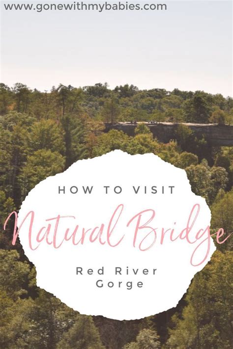 10 Best Hikes In Red River Gorge Hiking Trails Artofit