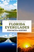 Discover the Florida Everglades: Facts, Fun and Fascinating History ...