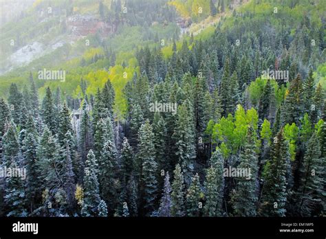 Mount Sneffels Range With Fresh Snow Colorado Usa Stock Photo Alamy