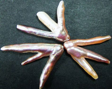 Chicken Feet Keshi Pearls High Luster 42cts Pf411