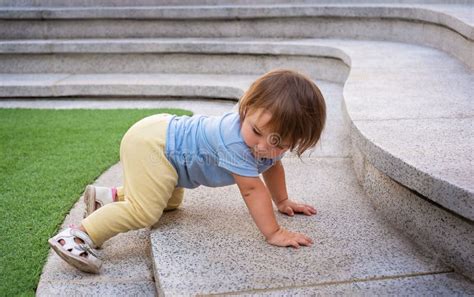 Baby Crawls Up The Stairs Stock Photo Image Of Baby 244941164