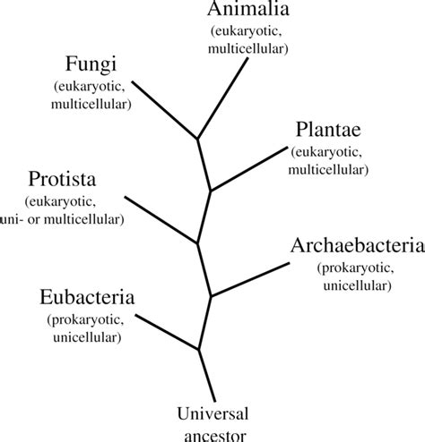 types of microorganisms with names