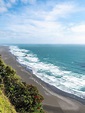 Árbol de pohutukawa de la playa de karekare en primer plano | Foto Gratis