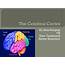 PPT  The Cerebral Cortex PowerPoint Presentation Free Download ID