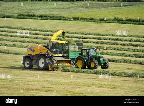 A Self Propelled New Holland Forage Harvester Collects Cut Silage And