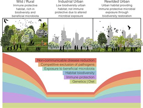Frontiers Relating Urban Biodiversity To Human Health With The