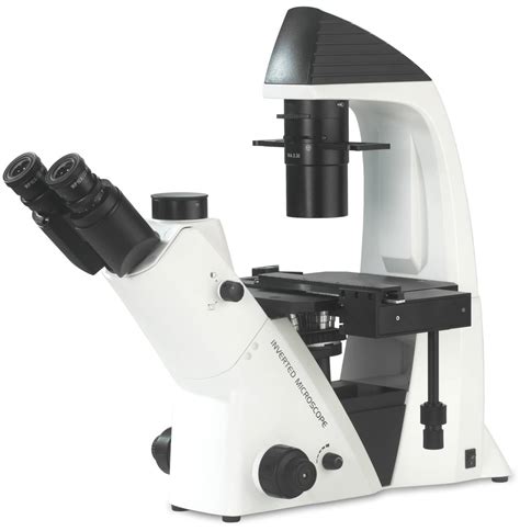 Inverted Microscope Modelbds400 Series Inverted Microscope 欧颜国际有限公司