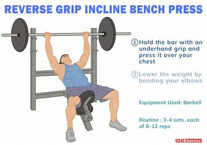 Bench Press Incline Grip Reverse Close Muscles