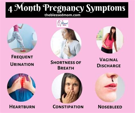 4 Months Of Pregnancy Symptoms 14 17 Week Baby Development Diet