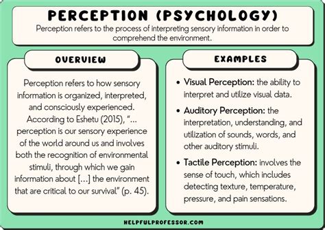 Perception Psychology 10 Examples And Definition 2024