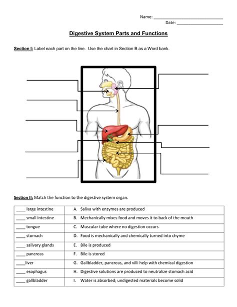 In this video i discuss how the digestive system works, digestive system functions, and the components of the digestive system. Digestive System Parts and Functions