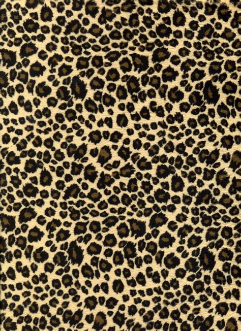 Leopard Pattern Wallpapers Wallpaper Cave