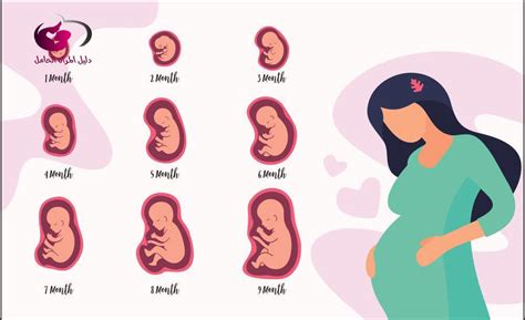 كيف يكون شكل الجنين المجهض في الشهر الأول