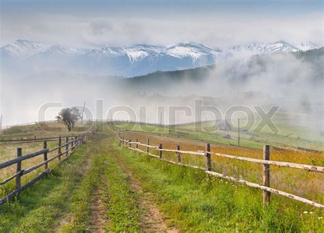 Beautiful Summer Landscape In A Stock Image Colourbox
