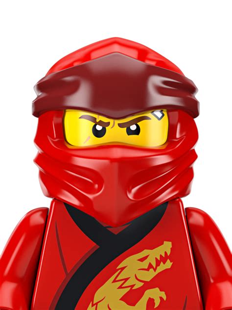 Ninjago Kai Png Indoor Plants Top View Png Epektase