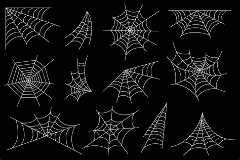 Spider Web Vector Art Icons And Graphics For Free Download