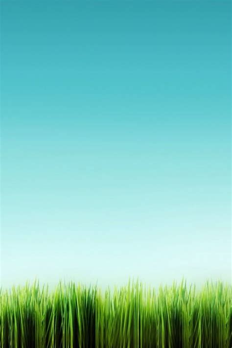 Minimalist Fantasy Grassland Iphone 4s Wallpapers Free Download