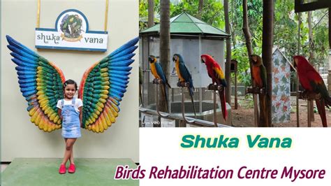 Mysore Coorg Vlog 6 L Shuka Vana L Rehabilitation Centre For Birds L