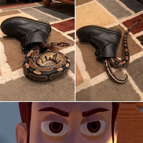 Theres A Snake In My Boot Disney Funny Disney Memes