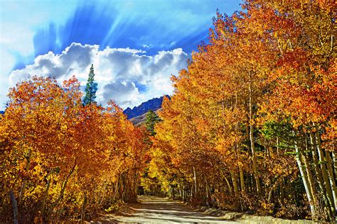 Falls Glory Photograph By Lynn Bauer