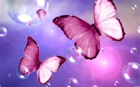 47 Pink Butterfly Wallpaper Desktop On Wallpapersafari