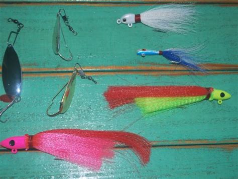 What Are The Best Lures For Bluefish Surfcastingflorida