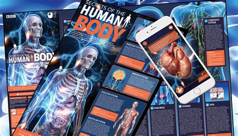 Download Your Free Secrets Of The Human Body Poster