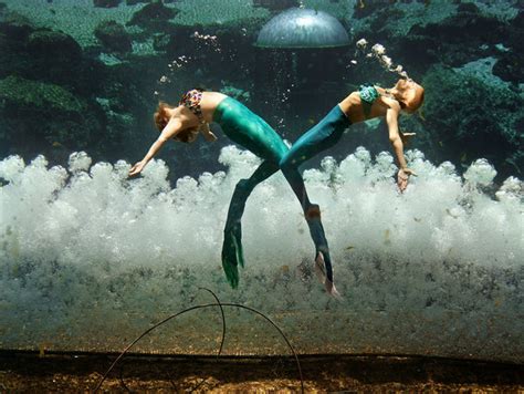 this is what real life mermaids look like the new york times