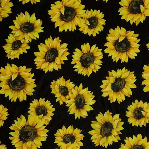 Oh Sunny Day Fabulegs Sunflower Aesthetic Wallpapers