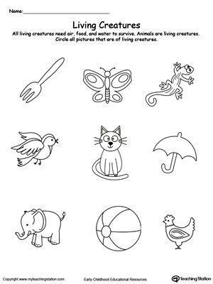 When you are a teacher, you have to have many materials with you every day, especially if you teach at a primary school. Understand Living Things: Animals | Science worksheets ...