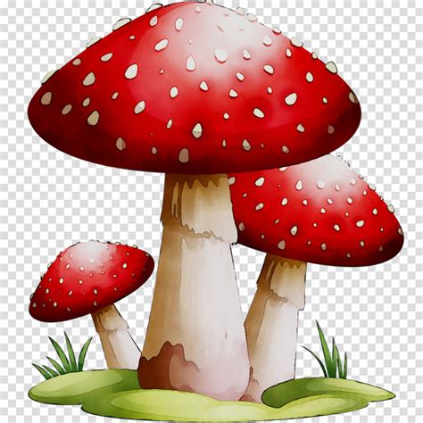 43 Best Ideas For Coloring Cartoon Mushroom Clip Art
