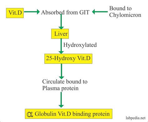 There's d2, and that's usually the prescription that doctors write. Vitamin D (Vitamin D2 and D3) - Labpedia.net