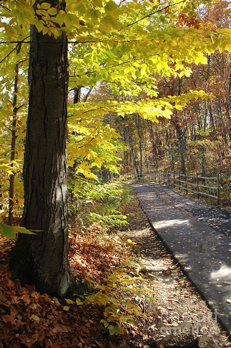 Autumn Bike Trail Photograph By Mike Nellums Fine Art America