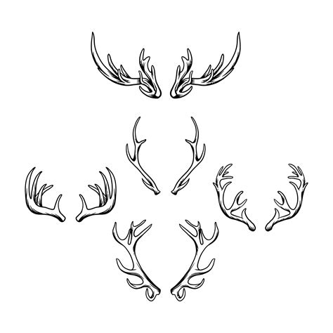 Deer Horn Vector Illustration 3087476 Vector Art At Vecteezy