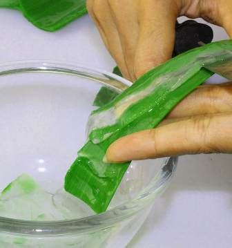 Tired of unflattering hairstyles for round faces? 10 Best Homemade Aloe Vera Face Packs | Styles At Life