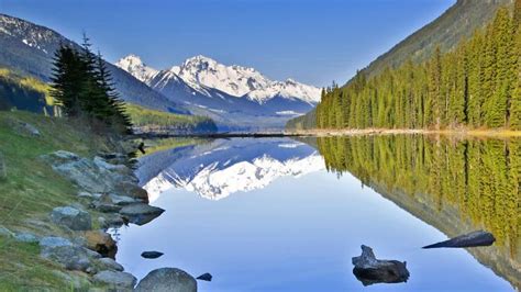 Wild Canada Bears Lakes And Mountains Travel The Times