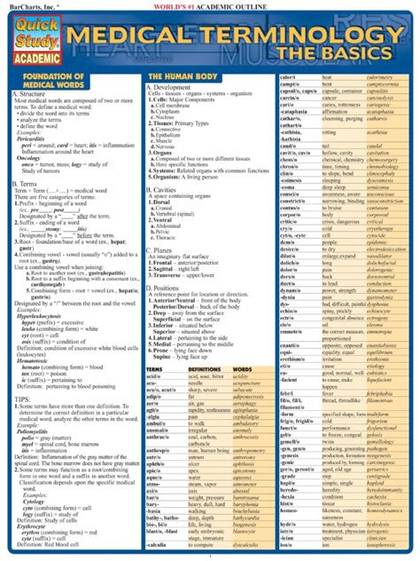 Beginner Free Printable Medical Terminology Worksheets