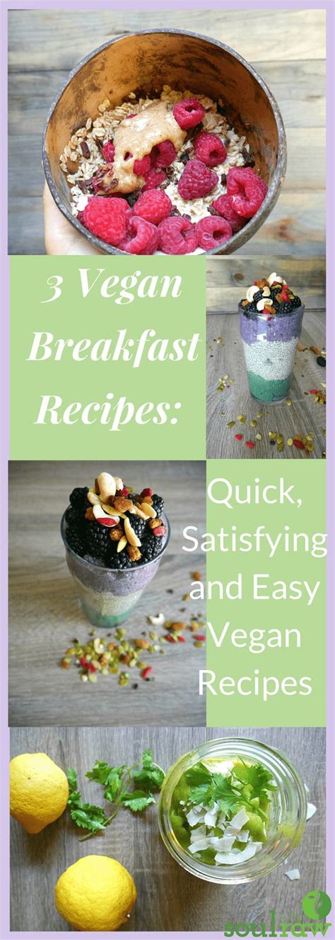 3 Vegan Breakfast Recipes On The Go Quick Filling And Easy Portable