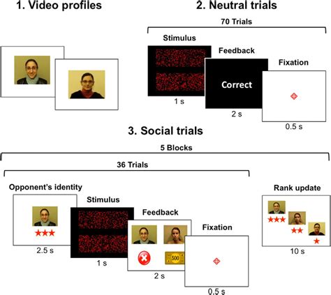 Neuroanatomical Markers Of Social Hierarchy Recognition In Humans A