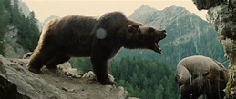 The Bear Movie Review | Movie Reviews Simbasible